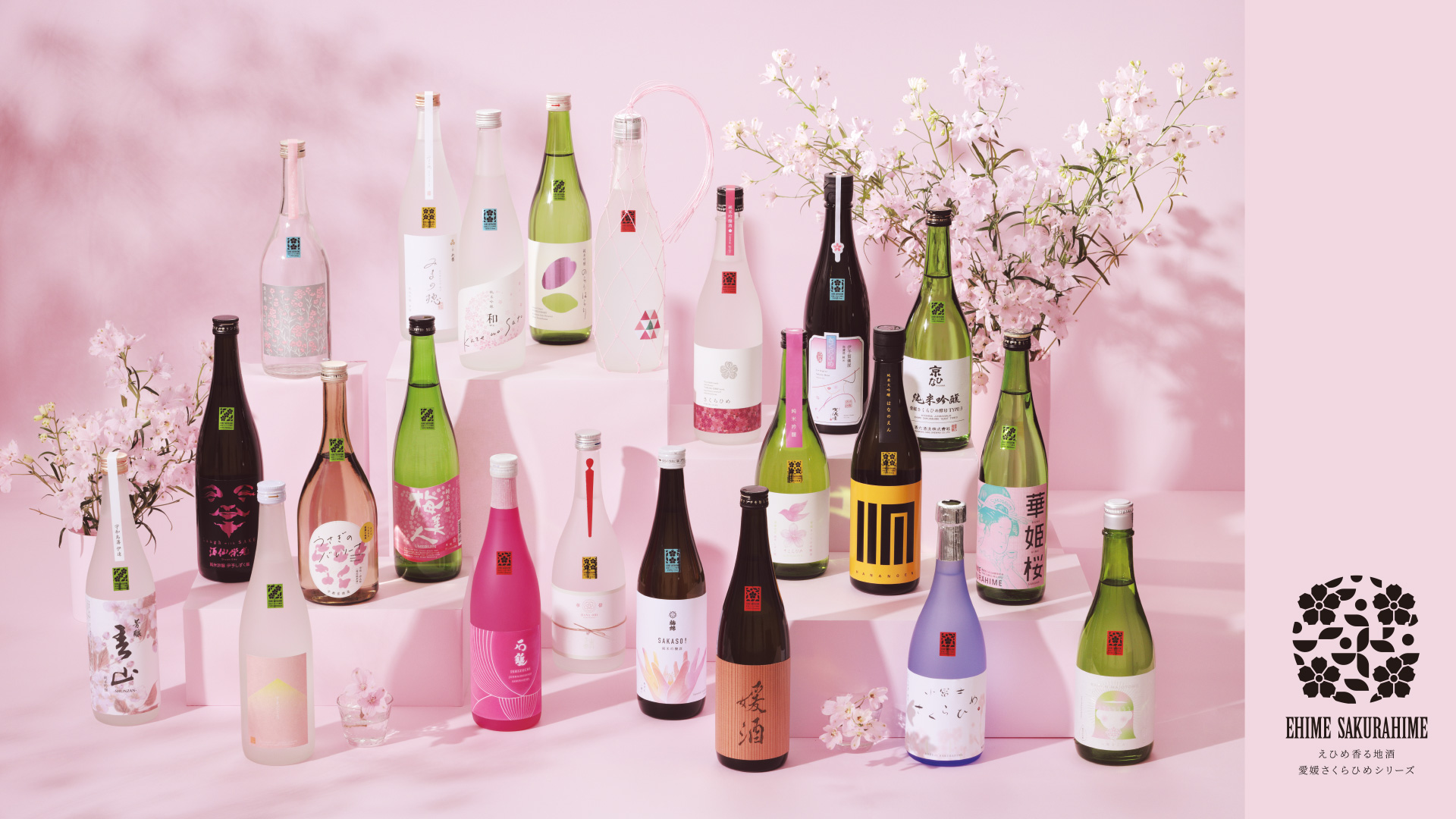 愛媛さくらひめシリーズの日本酒ラインナップ